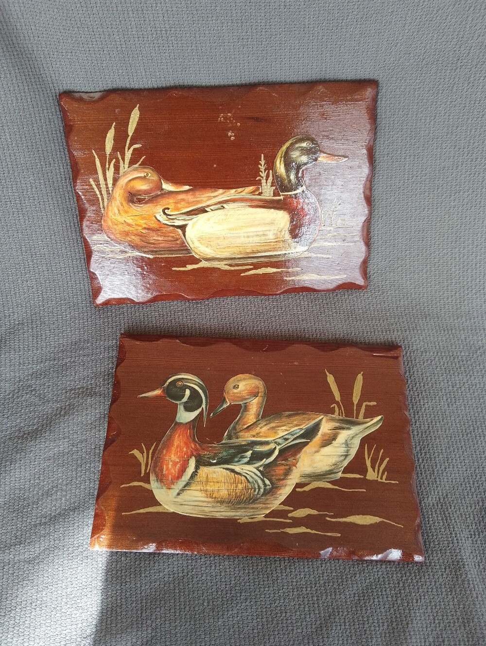 Duck Pictures
